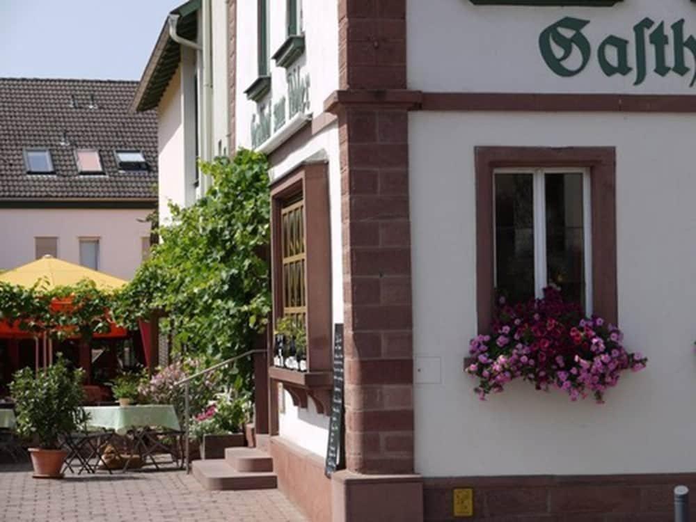 Buergstadt Adler Landhotel מראה חיצוני תמונה